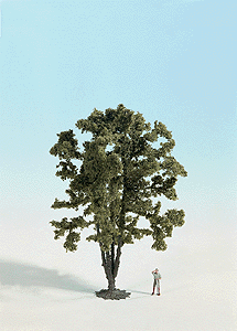 Trees - Boxed -- Acacia; 5-7/8" 15cm