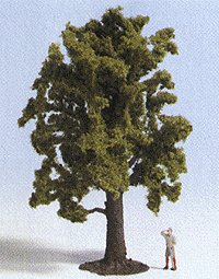 Deciduous Trees -- Beech 5-13/64" 13cm