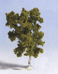 Deciduous Trees -- Birch 2-13/32" 6cm