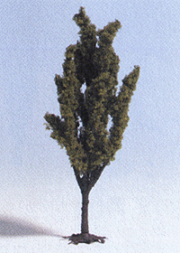 Deciduous Trees -- Poplar 3" 7.5cm