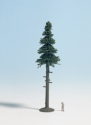 Coniferous (Evergreen) Trees -- Tall-Trunk Pine 4-3/8" 11cm