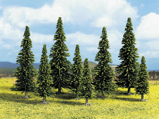 Pine Trees -- Spruce 35-100mm