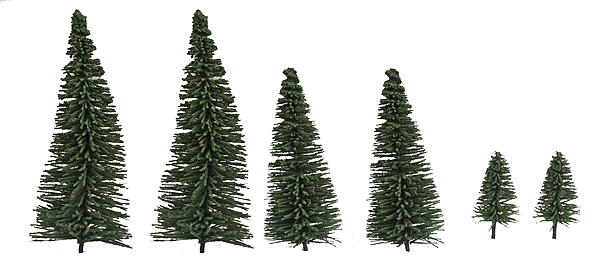 Fir Trees -- pkg(10)