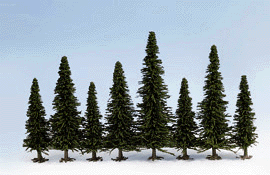 Pine Trees -- Fir 35-60mm