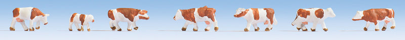 Cows -- Brown, White pkg(7)