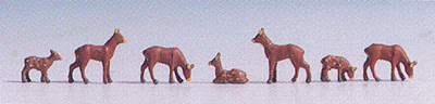 Animals -- Roe Deer