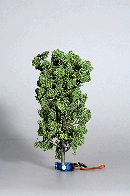 Trees (Digital Falling Tree) -- Lime 19cm