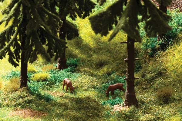 Forest Floor Vegetation Starter Set-1