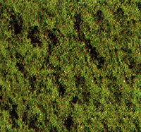 Foliage Scatter Material -- Light Green