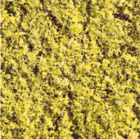 Flock -- Light Green
