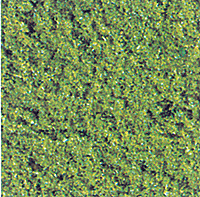 Flock -- Light Green 70g
