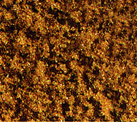 Flock -- Autumm Yellow