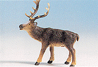 Animals -- Deer (brown)