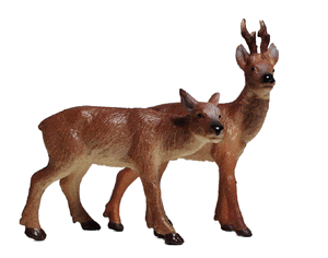 Animals -- Buck & Doe