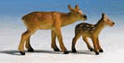 Animals -- Doe & Fawn
