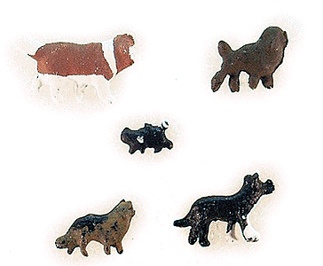 Animals -- Cats & Dogs