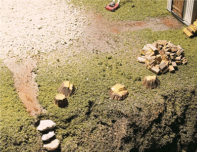 Tree Stumps