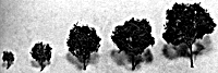 Pro Roundhead Tree