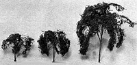 Pro Willow Trees -- 2"