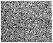 Concrete Road Flex Mat