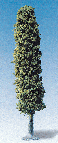 Poplar Tree -- 35cm 13.9"