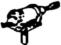 Brake Cylinder