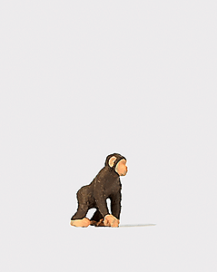 Animal -- Chimpanzee #1