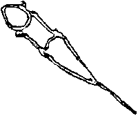 Bridle