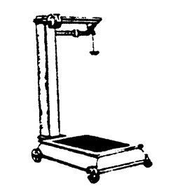 Portable Scale