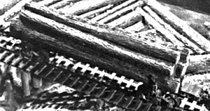 Log Load for Freight Car