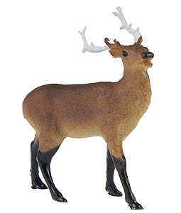Majestic Elk