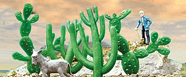 Saguaro & Prickley Pear Cactus pkg(4)
