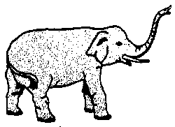Animals -- Elephant