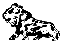 Animals -- Lion
