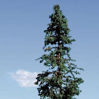 Deep Woods Green Pine Trees -- 4 to 6" 10.2 to 15.2cm pkg(2)