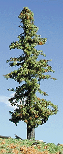 Lodge Pole Green Pine Trees -- 2-4" pkg(3)-1