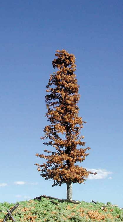 Lodgepole Pine Trees -- 4 - 6" 10.2 - 15.2cm pkg(5)