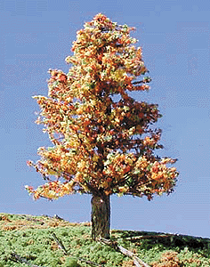 Trees -- Deciduous 6-9" Fall Splendor