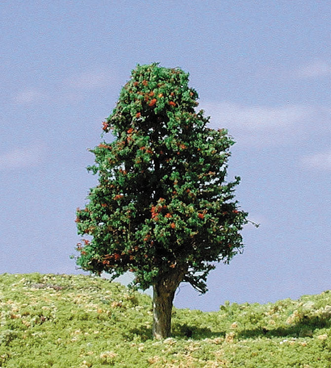 Trees -- Deciduous 3-5" Apple Trees
