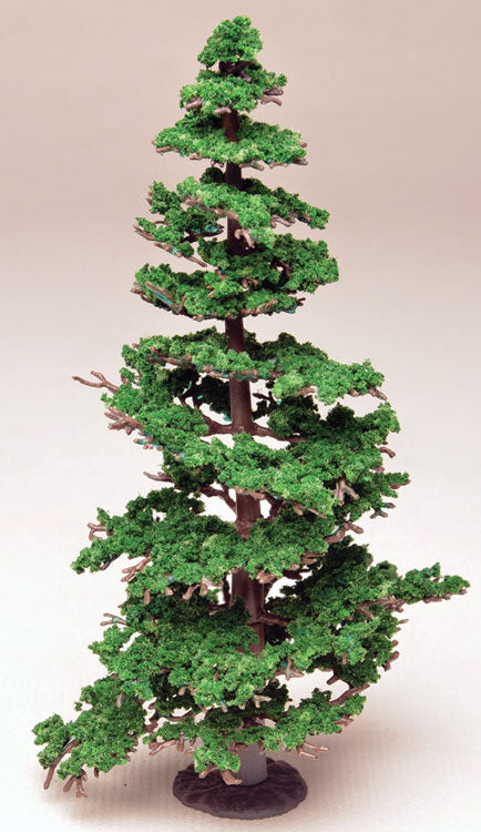 Jumbo Cedar