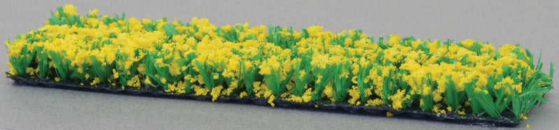 Yellow Plants & Flowers