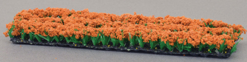 Orange Plants & Flowers