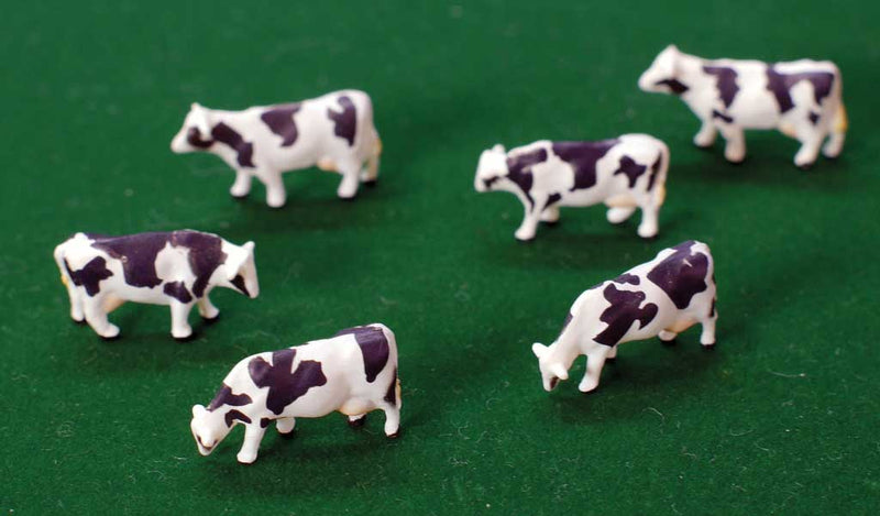 Cattle pkg(6)