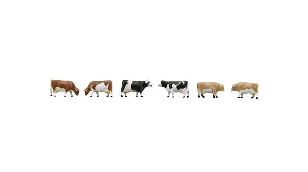 Farm Cows -- pkg(6)