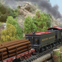 Class D 4-Truck Shay - Sound, Smoke and DCC -- Western Maryland #5 (1940s, black, graphite, Tuscan)