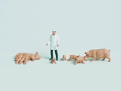 Working People -- Butcher w/Pigs-1