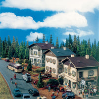 Mountain Road Scene