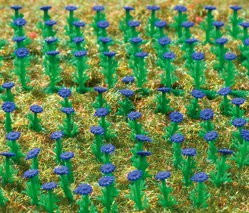 Flowers - Asters -- Dark Blue