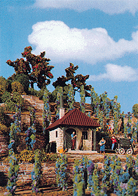 House w/Vineyard