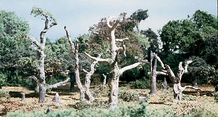 Dead Deciduous Trees -- Kit - Assorted Heights pkg(5)